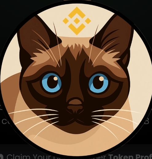 BNB'S CAT